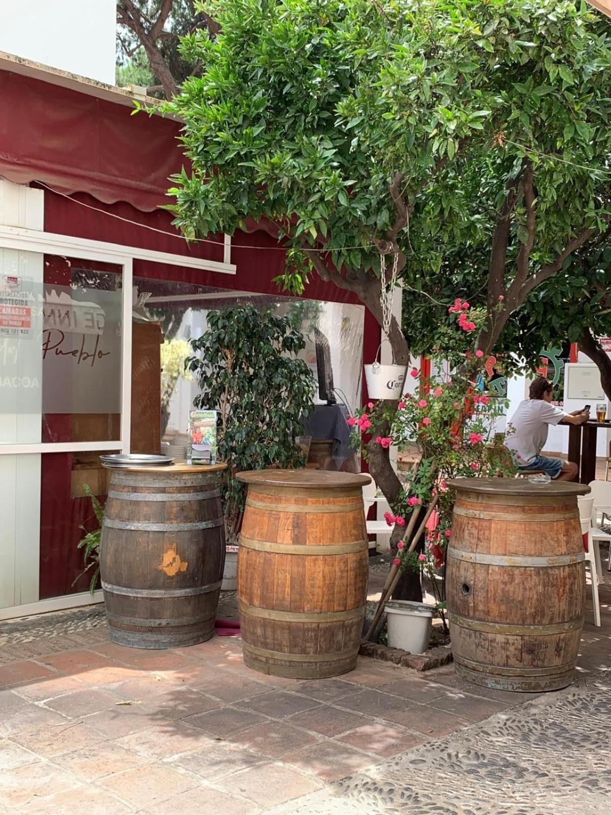 Renovated Andalusian House * Marbella